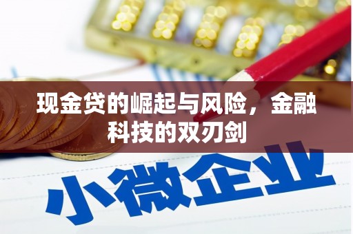 赫山现金贷的崛起与风险，金融科技的双刃剑