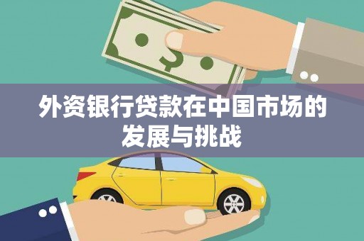 赫山外资银行贷款在中国市场的发展与挑战