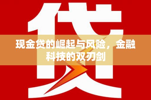 赫山现金贷的崛起与风险，金融科技的双刃剑