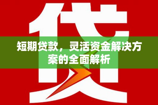 赫山短期贷款，灵活资金解决方案的全面解析