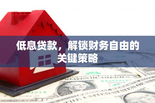 赫山低息贷款，解锁财务自由的关键策略