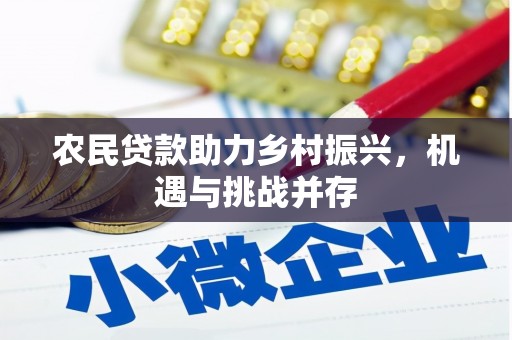 赫山农民贷款助力乡村振兴，机遇与挑战并存