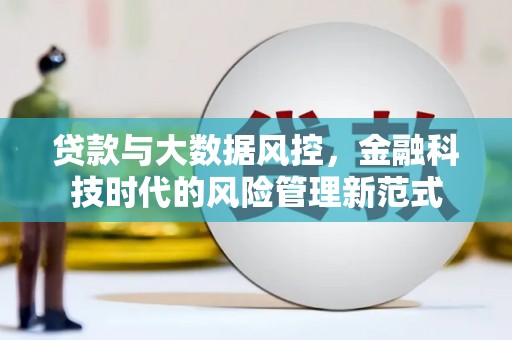 赫山贷款与大数据风控，金融科技时代的风险管理新范式
