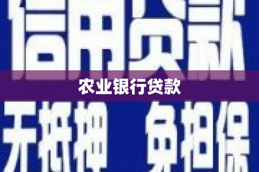 赫山农业银行贷款