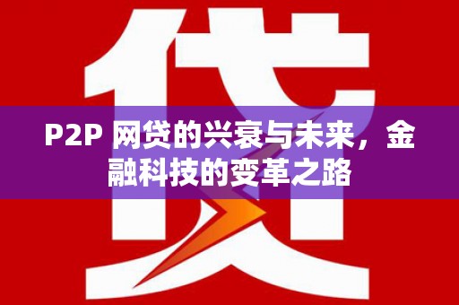 赫山P2P 网贷的兴衰与未来，金融科技的变革之路