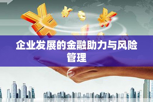 赫山企业发展的金融助力与风险管理