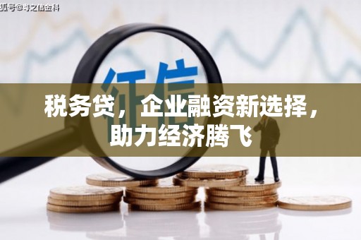 赫山税务贷，企业融资新选择，助力经济腾飞
