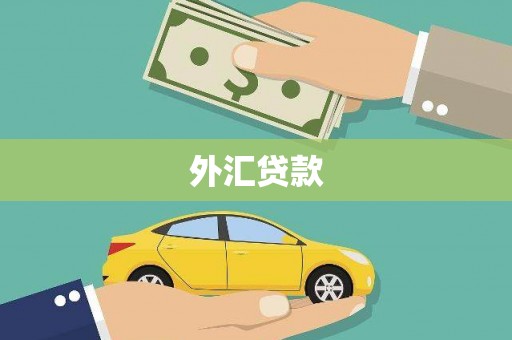 赫山外汇贷款