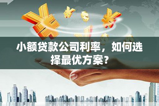 赫山小额贷款公司利率，如何选择最优方案？