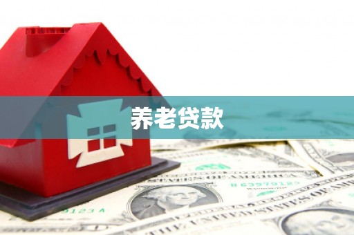 赫山养老贷款