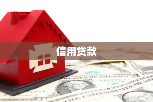 赫山信用贷款