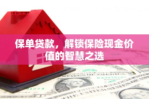 赫山保单贷款，解锁保险现金价值的智慧之选