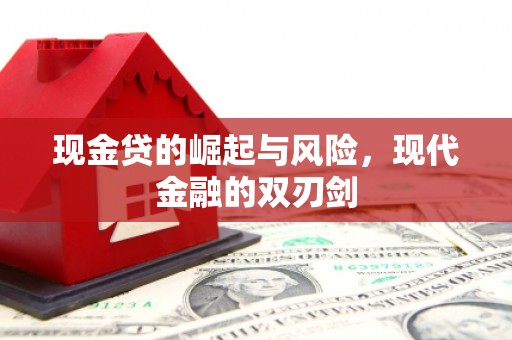 赫山现金贷的崛起与风险，现代金融的双刃剑