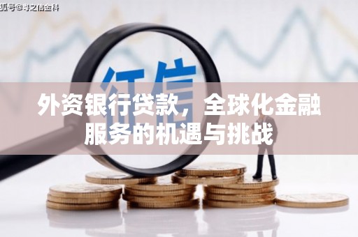赫山外资银行贷款，全球化金融服务的机遇与挑战