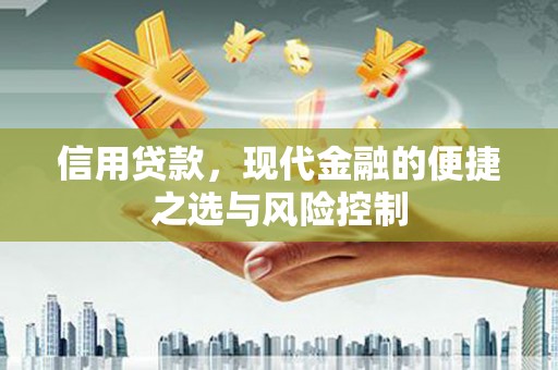 赫山信用贷款，现代金融的便捷之选与风险控制