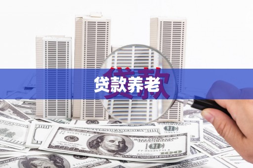 赫山贷款养老