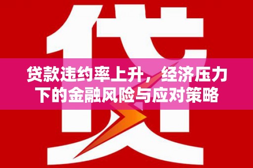赫山贷款违约率上升，经济压力下的金融风险与应对策略