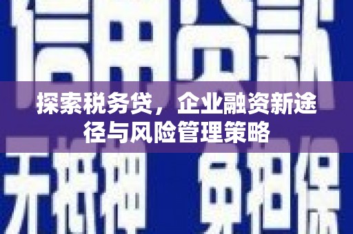 赫山探索税务贷，企业融资新途径与风险管理策略