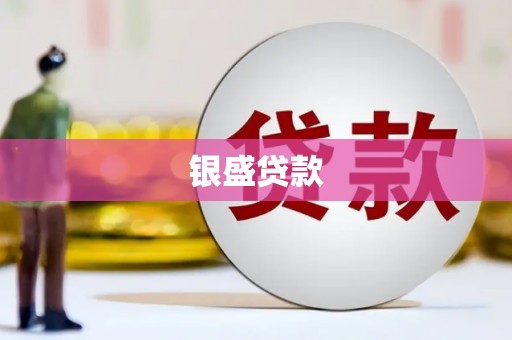 赫山银盛贷款
