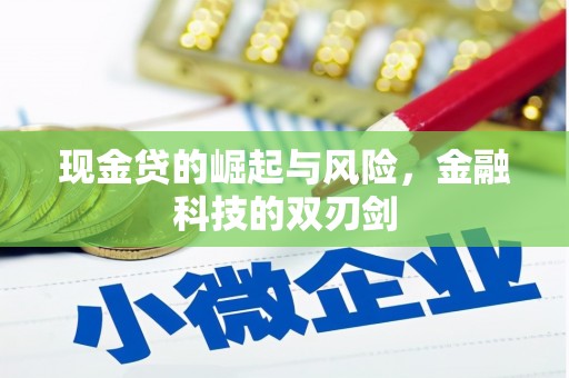 赫山现金贷的崛起与风险，金融科技的双刃剑