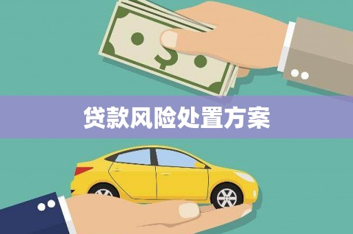 赫山贷款风险处置方案