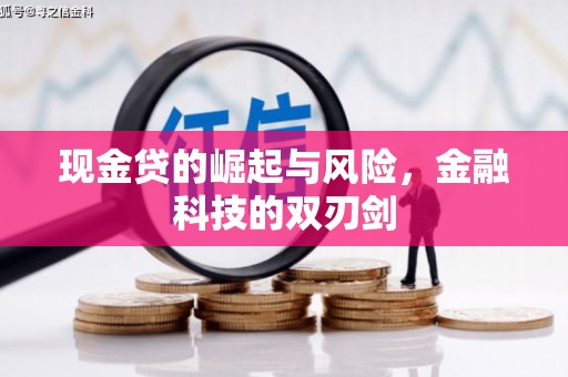 赫山现金贷的崛起与风险，金融科技的双刃剑