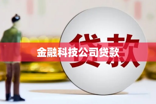 赫山金融科技公司贷款