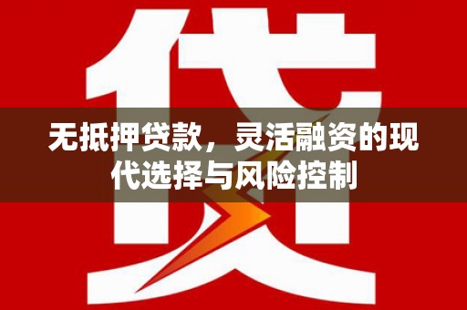 赫山无抵押贷款，灵活融资的现代选择与风险控制