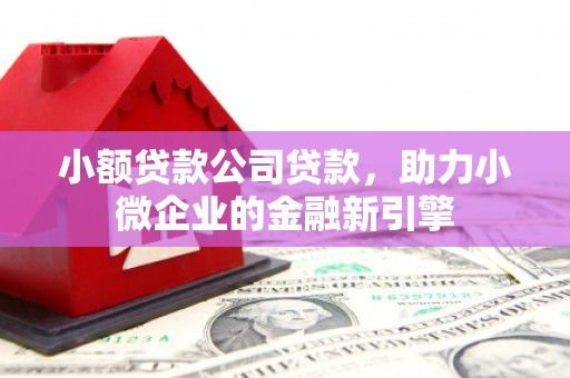 赫山小额贷款公司贷款，助力小微企业的金融新引擎