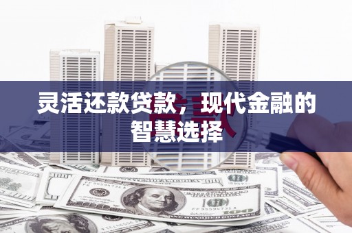 赫山灵活还款贷款，现代金融的智慧选择
