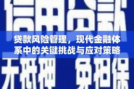赫山贷款风险管理，现代金融体系中的关键挑战与应对策略