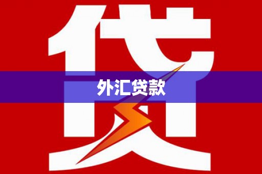 赫山外汇贷款