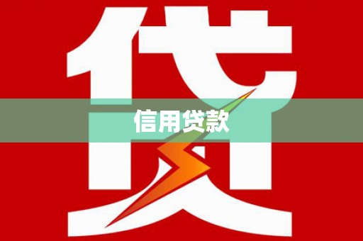 赫山信用贷款