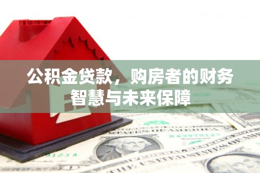 赫山公积金贷款，购房者的财务智慧与未来保障