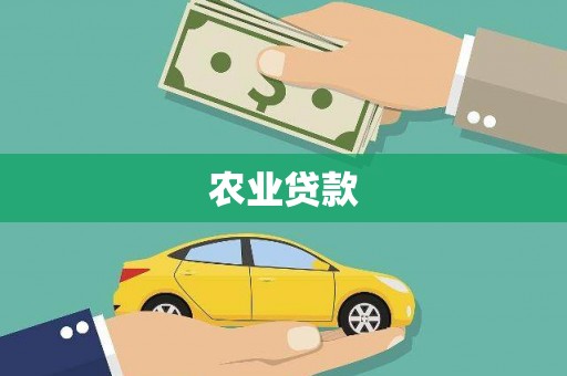 赫山农业贷款