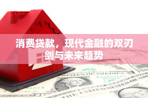 赫山消费贷款，现代金融的双刃剑与未来趋势