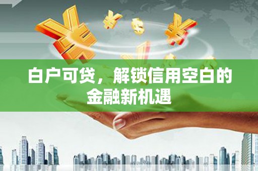 赫山白户可贷，解锁信用空白的金融新机遇