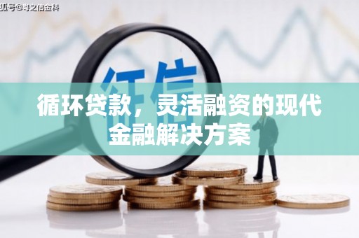 赫山循环贷款，灵活融资的现代金融解决方案