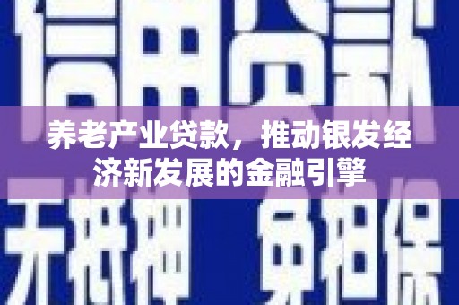 赫山养老产业贷款，推动银发经济新发展的金融引擎