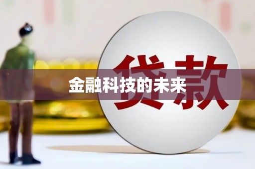 赫山金融科技的未来