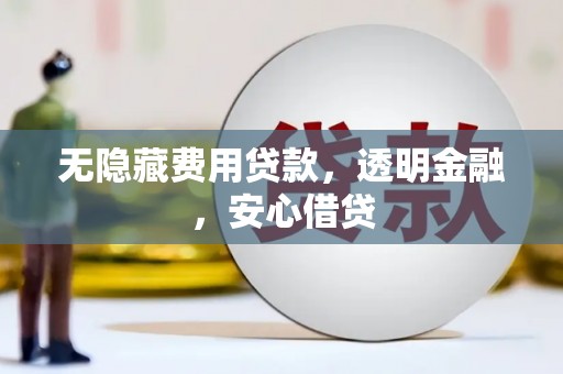 赫山无隐藏费用贷款，透明金融，安心借贷