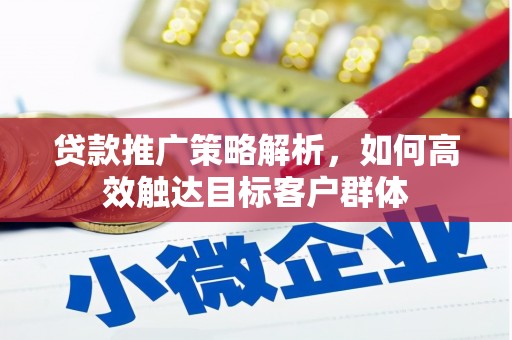 赫山贷款推广策略解析，如何高效触达目标客户群体