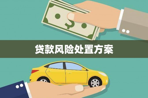 赫山贷款风险处置方案