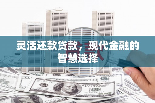 赫山灵活还款贷款，现代金融的智慧选择