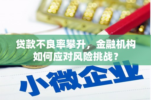赫山贷款不良率攀升，金融机构如何应对风险挑战？