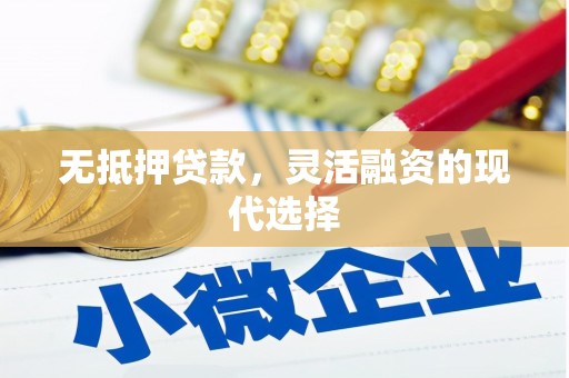 赫山无抵押贷款，灵活融资的现代选择