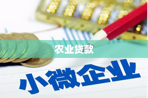 赫山农业贷款