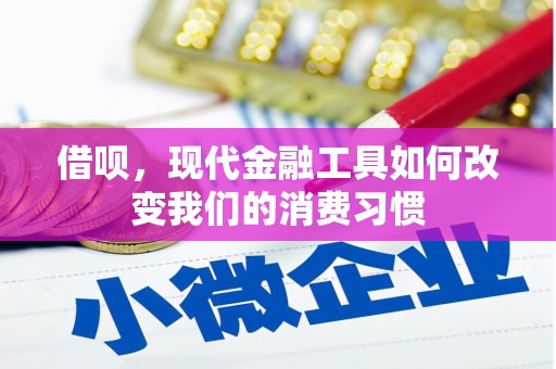 赫山借呗，现代金融工具如何改变我们的消费习惯