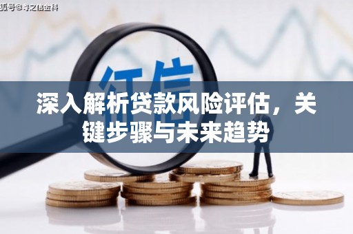 赫山深入解析贷款风险评估，关键步骤与未来趋势