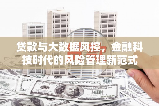 赫山贷款与大数据风控，金融科技时代的风险管理新范式